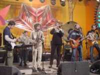 Barwniki sfotografowane przez Ei�; fotka ze strony WO�P