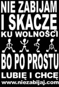 Koszulka czarno-bia�a