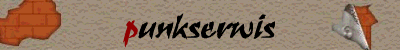www.punkserwis.org