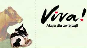 www.viva.org.pl